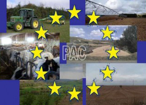 La UE logra llegar a un acuerdo en la política agraria y flexibilizan la 'tasa plana' de ayudas directas