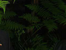 Se revalúan Gruma y Comercial Mexicana tras lograr acuerdos