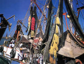 La Policía identifica a dos sospechosos del doble asesinato de Calvià y busca a otros