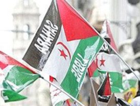 'Luz verde' a la expulsión de 13 de los 17 saharauis que pidieron asilo