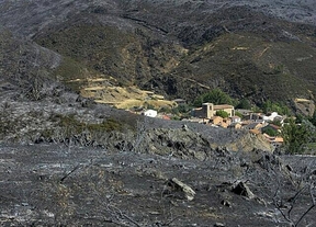 Imputado el conductor de una cosechadora por el incendio de Valdepeñas de la Sierra (Guadalajara)