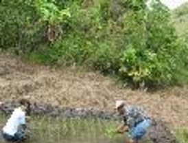 Indígenas y Campesinos definen el rumbo de la Constituyente