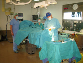 El pacto sanitario a nivel estatal es 'imposible', según Boi Ruiz