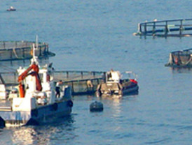 Santos expresa deseo de tener 'buenas relaciones' con Chávez