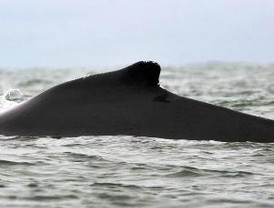Pequeñas joyas de cocina en el MeetingPoint de Grupo Redimar