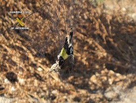 Uno de cada tres jóvenes latinoamericanos puede caer en la violencia