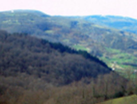 Chávez: 'Votaría a McCain'