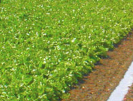 A los padres no les gustan los videojuegos