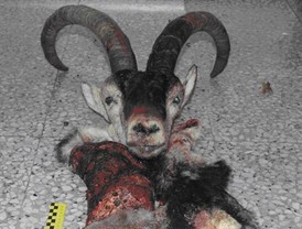 El Ibex cierra la sesión con una ligera subida del 0,46%