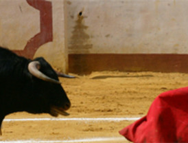 Celine Dion volverá en 2011