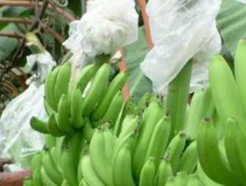 Simancas, fuera del mapa