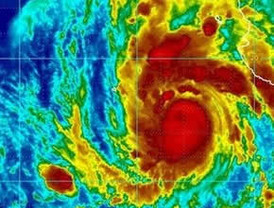 Julio Cortázar: Veinticinco años