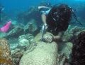 Vásquez y Torrijos acuerdan cooperación