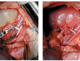 Soraya Sáenz: “Estamos viviendo la crisis fiscal más profunda de nuestra historia”