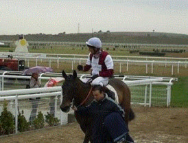 Valderas cuestiona que IULV-CA baje el sueldo de sus alcaldes