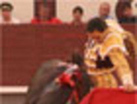 Los precios de los cítricos caen entre un 15 y un 20% respecto a 2009