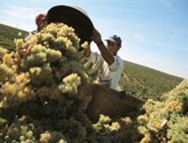 El número de ocupados se sitúa en 18,65 millones de personas