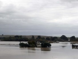 Tras las inundaciones del Genil se desborda el arroyo Argamasilla