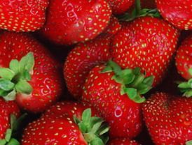 Detenidos cuatro jóvenes acusados de robar 750 kilos de fresa con un valor de 1.800 euros