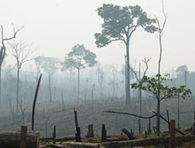 APEC: Ministros rechazan proteccionismo ante crisis financiera