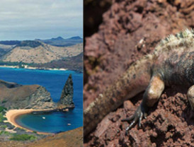 La filial mexicana de Telefónica y Megacable firman un acuerdo para móviles