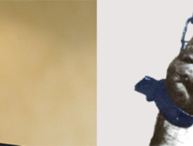 Gobierno, oposición y sindicatos analizan las cifras del paro