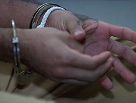 Descubren tres nuevas especies de ranas en el sureste de Perú