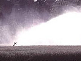 La Comunidad Autónoma invierte 4 millones de euros en la mejora del regadío de Cieza