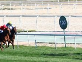 Volcánico regresa en el Torre Arias