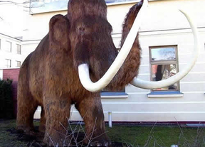 El hallazgo de sangre líquida de mamut reaviva la idea de clonar este animal