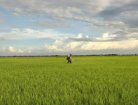 Banco del Sur, 'preámbulo' del Banco Central Sudamericano