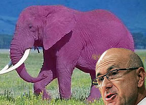 Duran, domador de elefantes rosas (en la broma que le hicieron en la Wikipedia)
