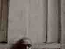 El TS no entregará el censo a las agrupaciones impugnadas