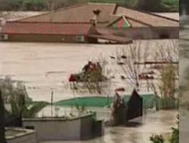 Deportan a un guerrillero del ELN solicitado por la Interpol