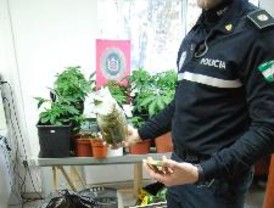 Los emails del Gobierno los 've' el ABC