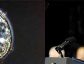 11-M: Hoy se cierra otro capítulo con el fallo de los recursos