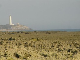 Chaves espera generar 274.000 empleos con las ayudas a los ayuntamientos