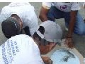 Endesa sufre el impacto del traspaso de poderes