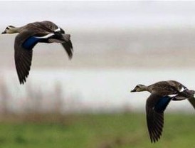 La Unión Europea y Brasil centran su tercera cumbre en el clima y la economía