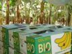 Manuel Jesús “El Cid” la abrió en la pre Feria