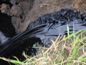 El PIB de la OCDE cae un 2,1 por ciento en el primer trimestre, mayor retroceso desde 1960