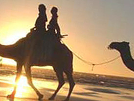 Respuesta a Ares: en el Congreso de los Diputados cuelga el cuadro de un asesino