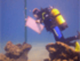 Fernández de Kirchner destituye al presidente del Banco Central