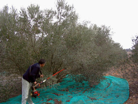 Cien días de presidencia española: la UE actuando como Unión Política