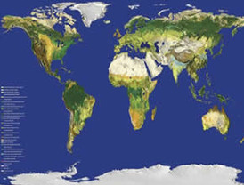 ERC se ‘resiste’ a apostar por la Roja