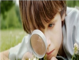 Educar en Medioambiente