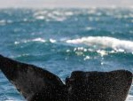 El euribor ha retrocedido un punto en un mes, pero sigue alto