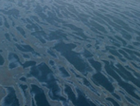 ¿Algas o fuel?: una gran mancha flota en las costas de Luisiana