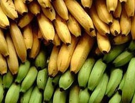 Cobo pide a Granados que diga 'todo lo que sabe' sobre espías