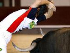 Chávez propuso extender postulación